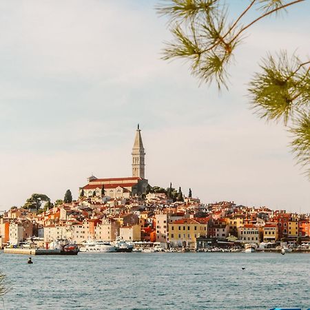 Summer Dream, Center Of Rovinj Ngoại thất bức ảnh